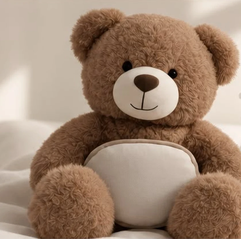 Peluche Ami Teddy avec sa pochette chauffante